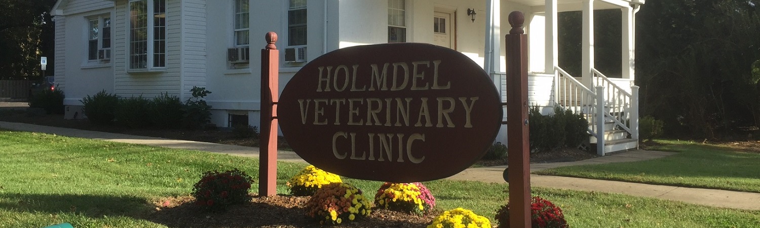 holmdel veterinary clinic